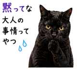 855520656