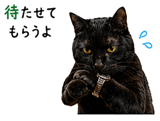 855520666