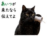 855520669