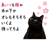 855520672