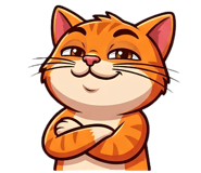 855521221