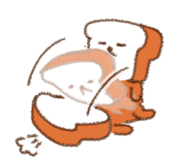 8555479