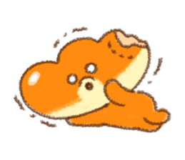 8555492