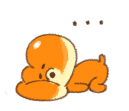 8555494