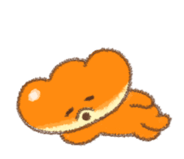 8555497
