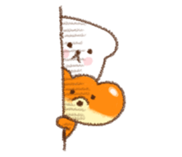 8555499