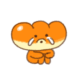 8555504