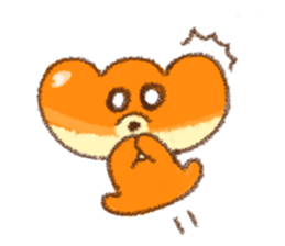 8555507