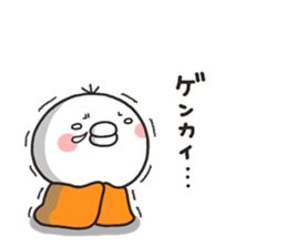 8555519