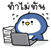 855554529