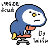 855554532