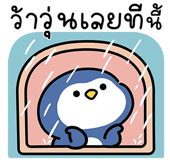 855554546