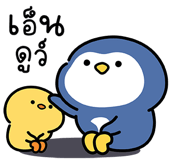 855554551