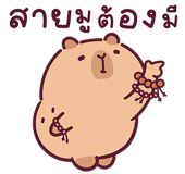855554729