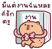 855554744