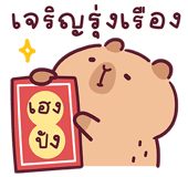 855554747