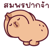 855554748