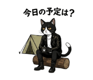 855554842