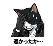 855554846