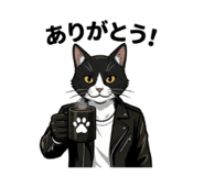 855554848