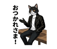 855554853
