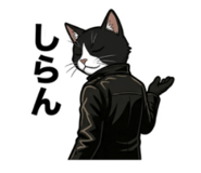 855554854