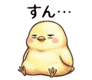 855554874