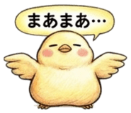 855554884