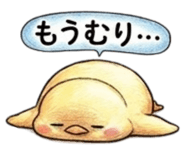 855554886