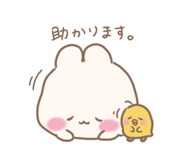855555071