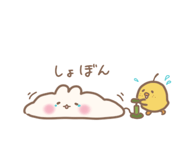 855555077