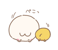855555080