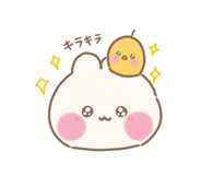 855555095