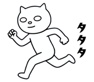855556234