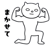 855556242