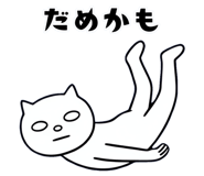 855556251