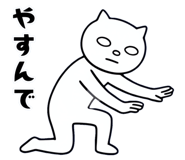 855556253