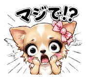 855556271
