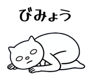 855556302