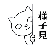 855556308