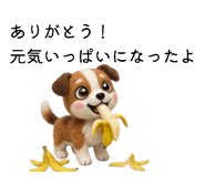 855556502