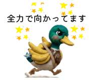 855556509