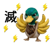 855556527