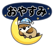 855556531