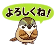 855556537