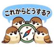 855556538