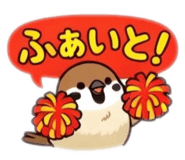 855556540