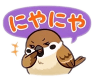 855556549