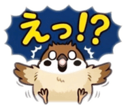 855556550