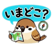 855556551